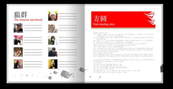 中国文化味画册设计 广告公司作品 佳作欣赏